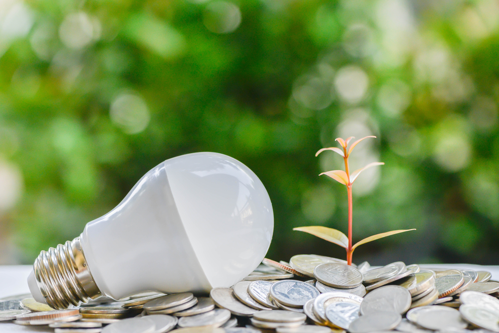 Фото: Shutterstock.com