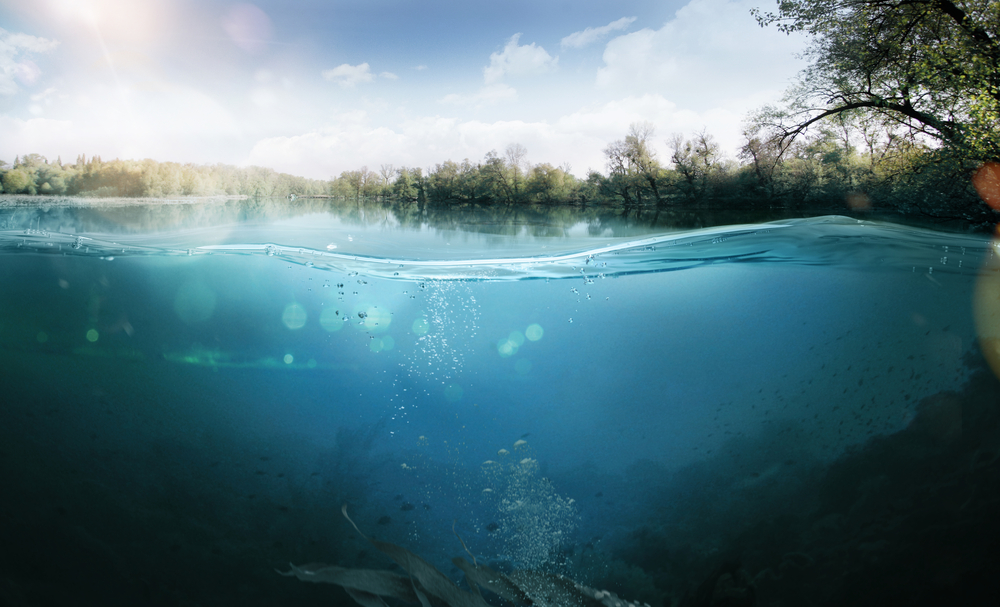 Более шести тонн рыбы погибло в Кызылординской области