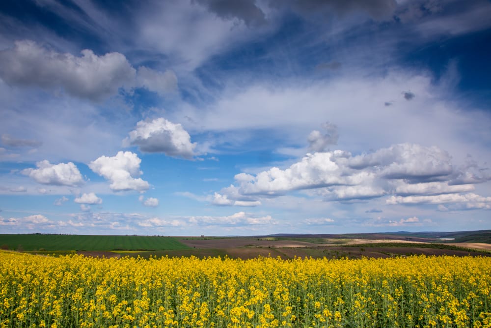 Фото: Shutterstock.com