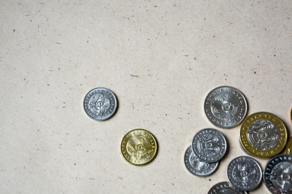 Фото: Shutterstock.com