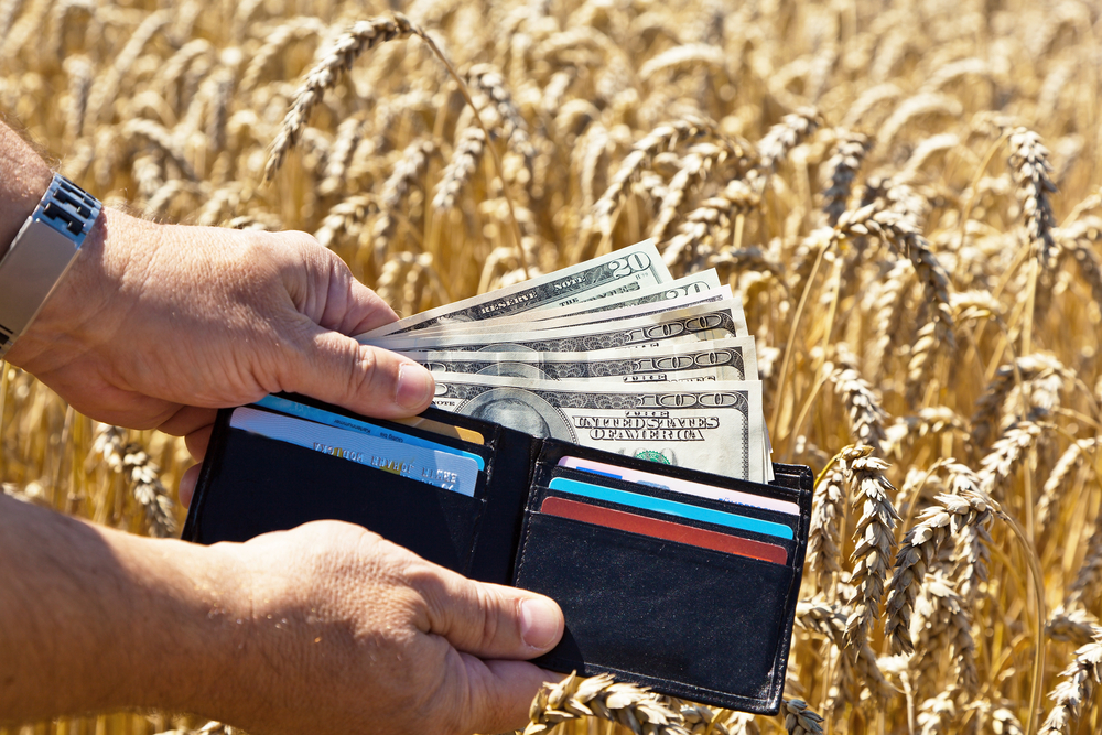 Карагандинские фермеры потратили не туда 97 млн тенге 