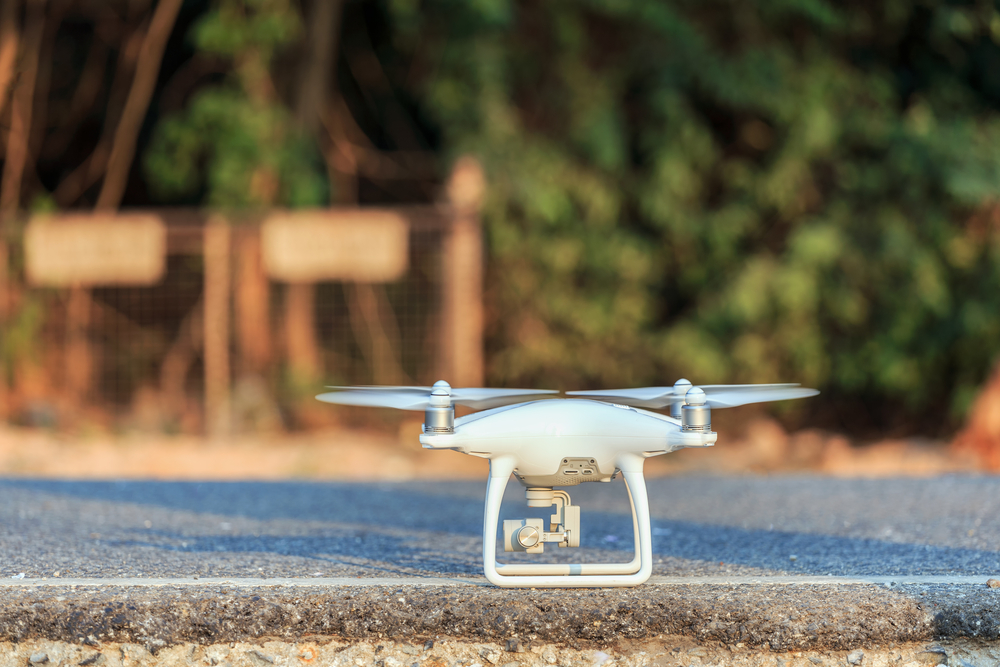 Фото: Shutterstock