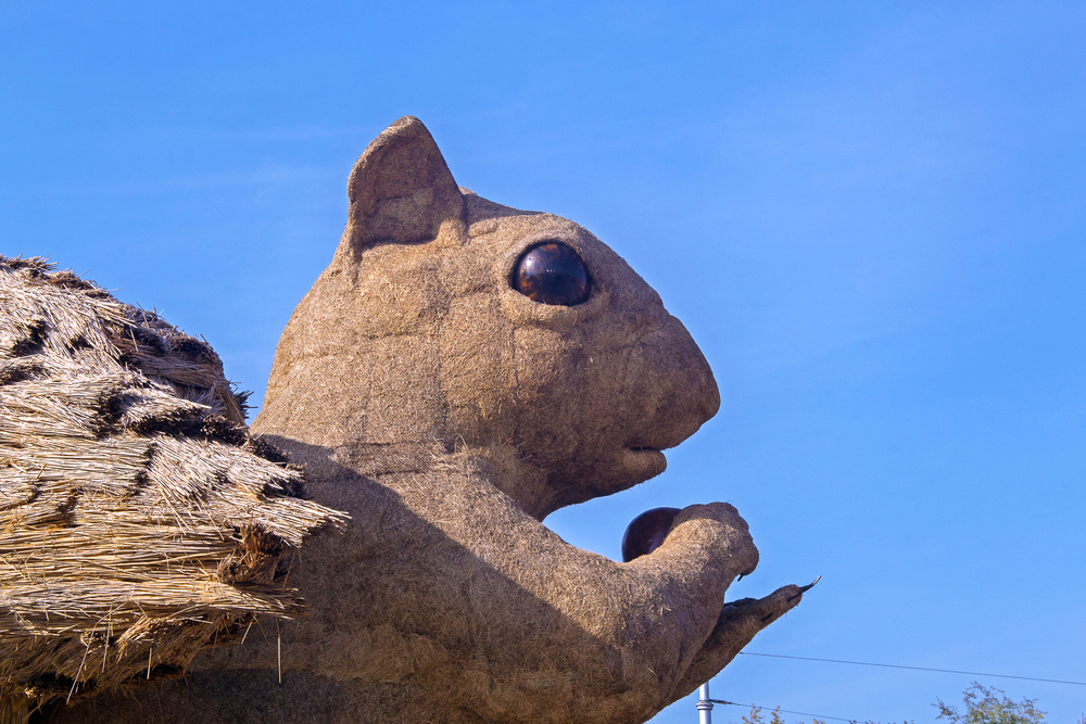 Фото: Shutterstock