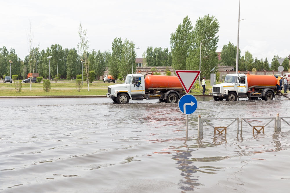 Фото: Shutterstock.com