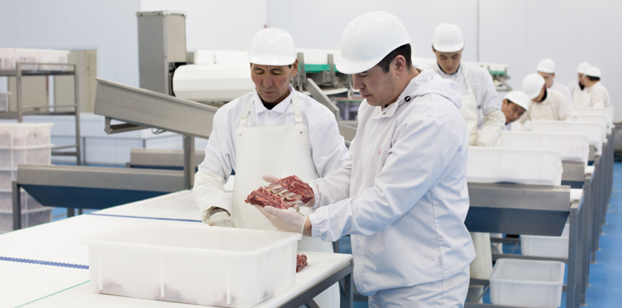 Как накормить всю страну консервами