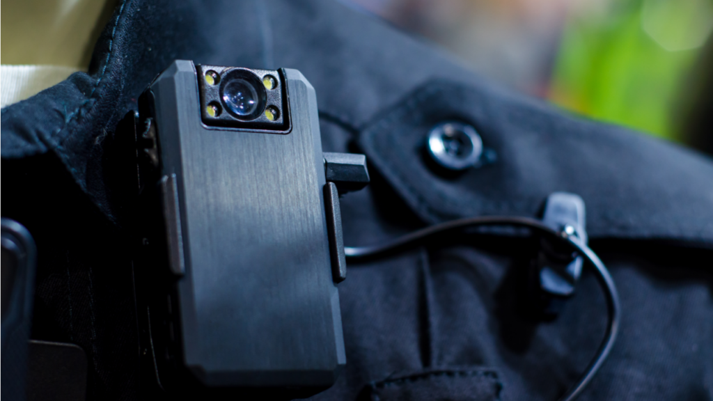 Фото: Shutterstock