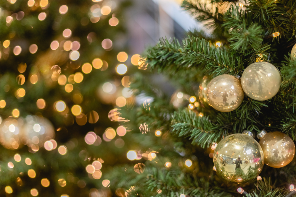 Фото: Shutterstock.com