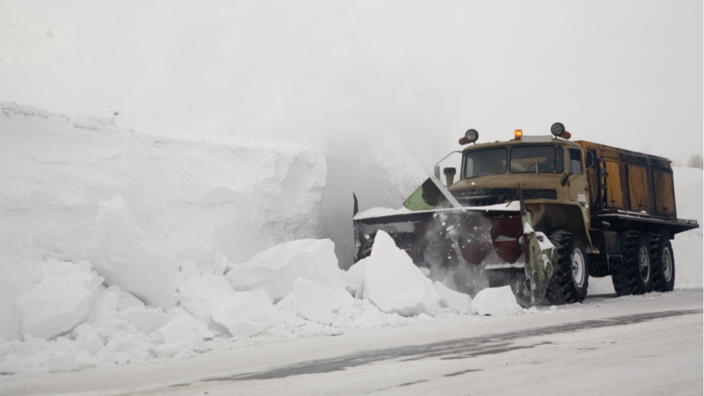 Фото: Shutterstock