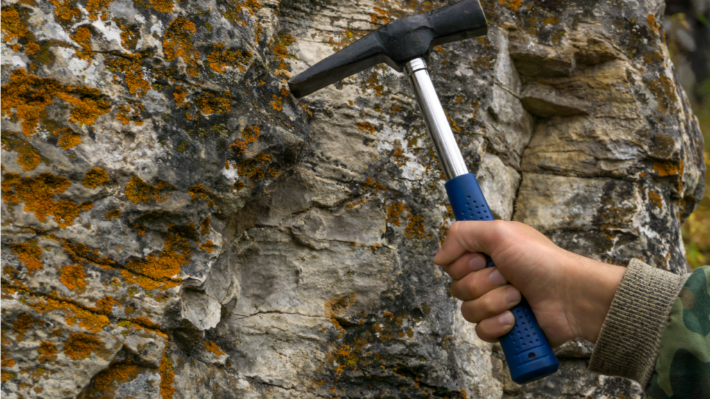 Фото: Shutterstock