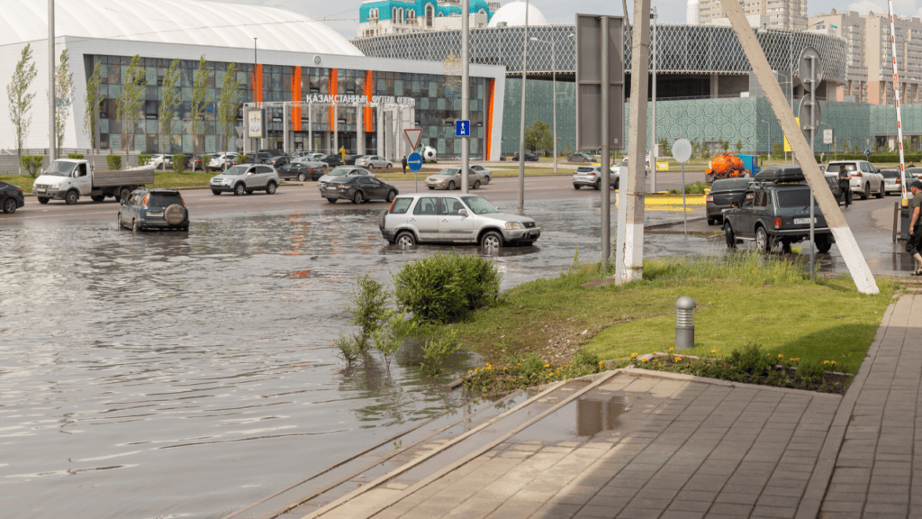 Фото: Shutterstock/donikz2