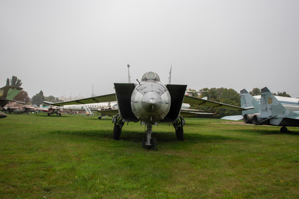 Фото: Shutterstock.com