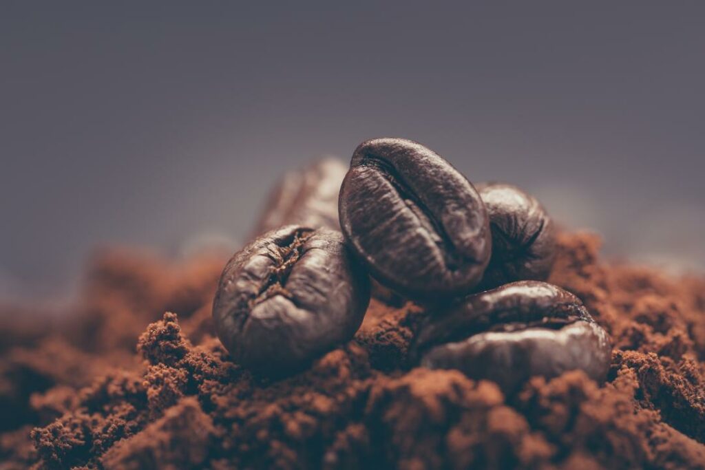 Фото: Shutterstock