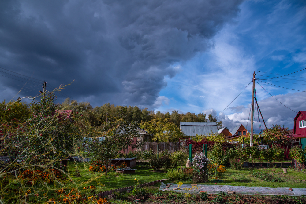 Фото: Shutterstock.com