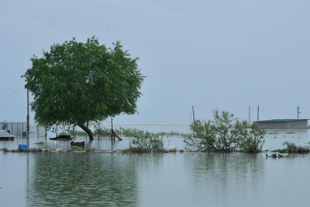 Фото: Акимат Туркестанской области