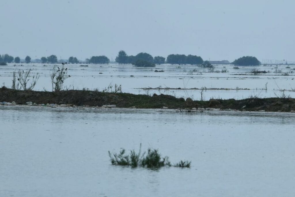 Из-за прорыва дамбы в Узбекистане погиб нацгвардеец
