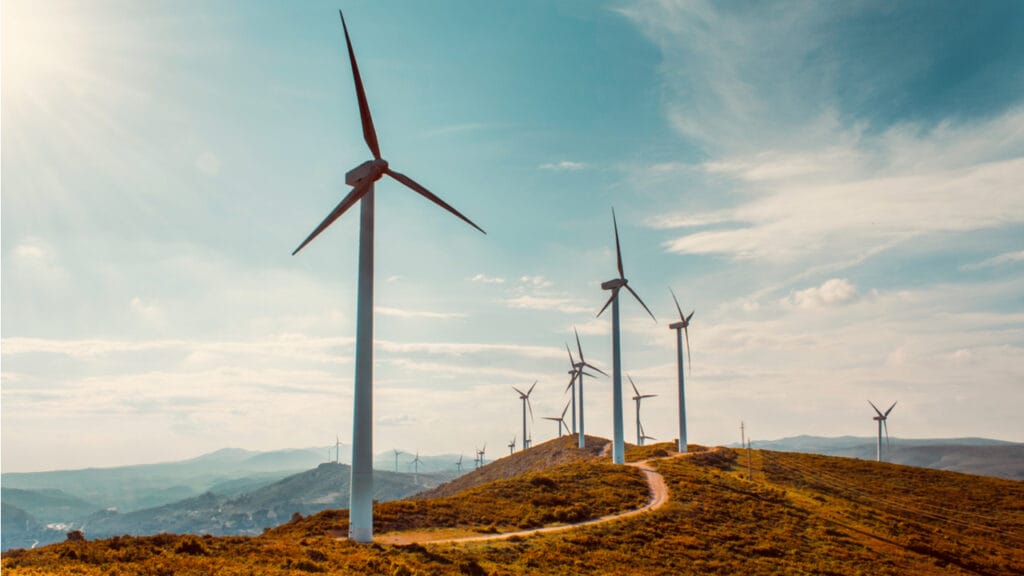 На строительство ВЭС в Узбекистане подали заявки 70 компаний