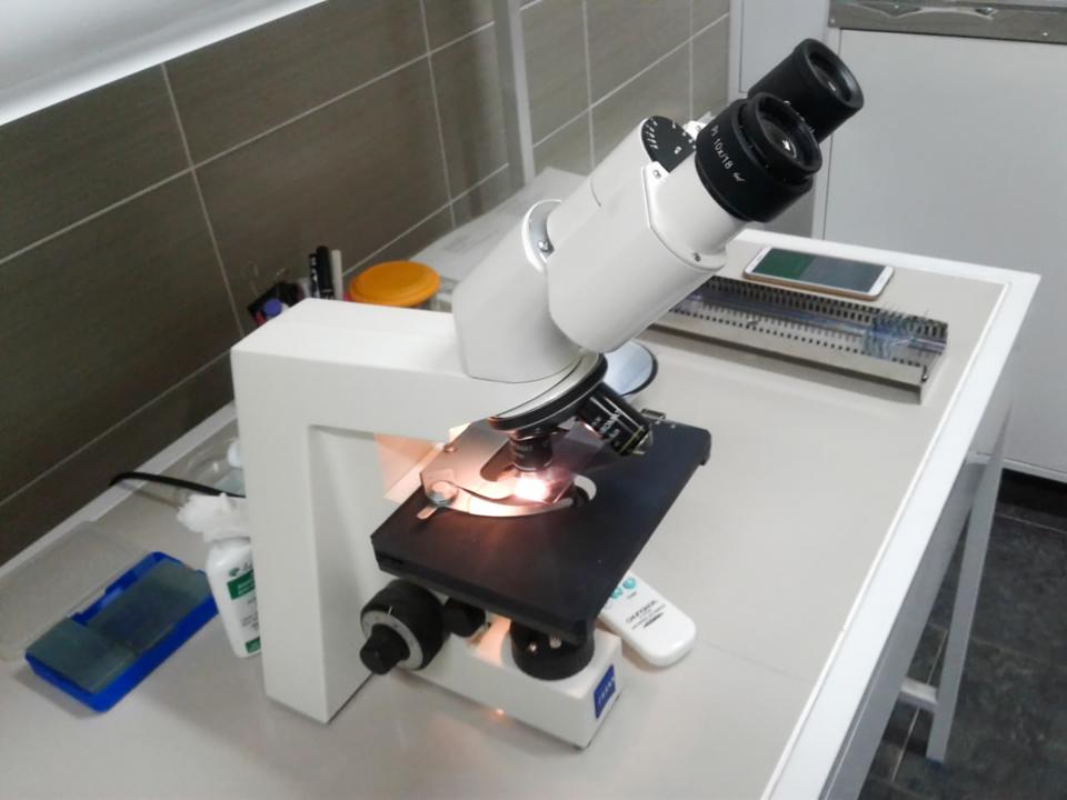 Фото: Аскар Ахметуллин