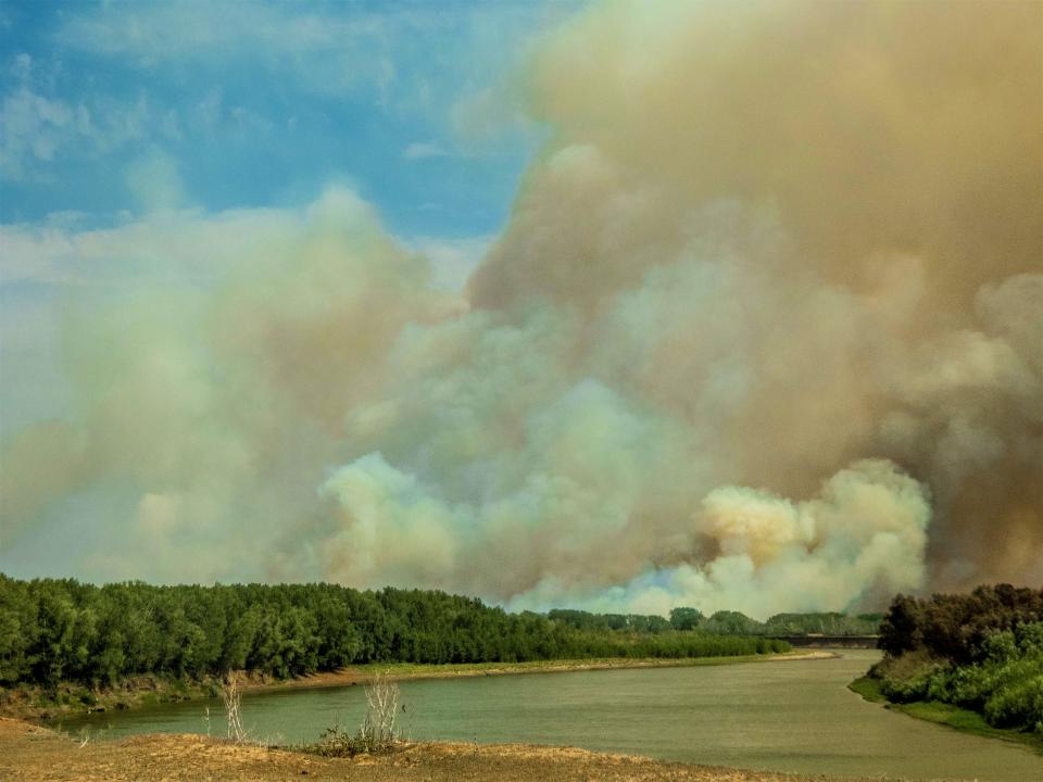 Пожар в ЗКО уничтожил 52 га степи и пойменного леса