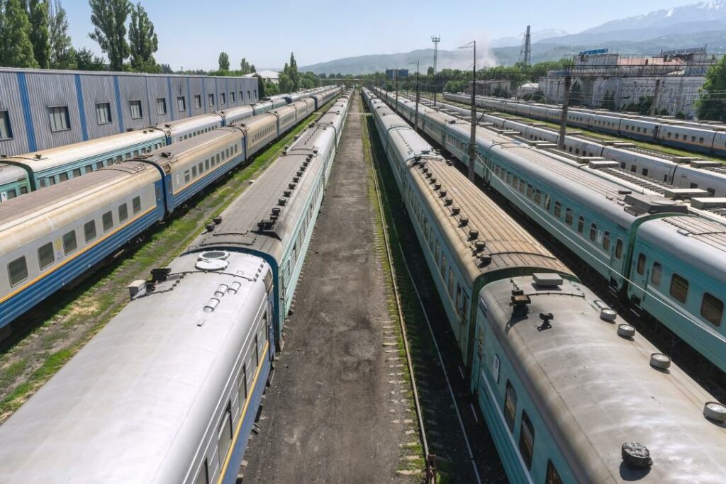 Фото: Офелия Жакаева