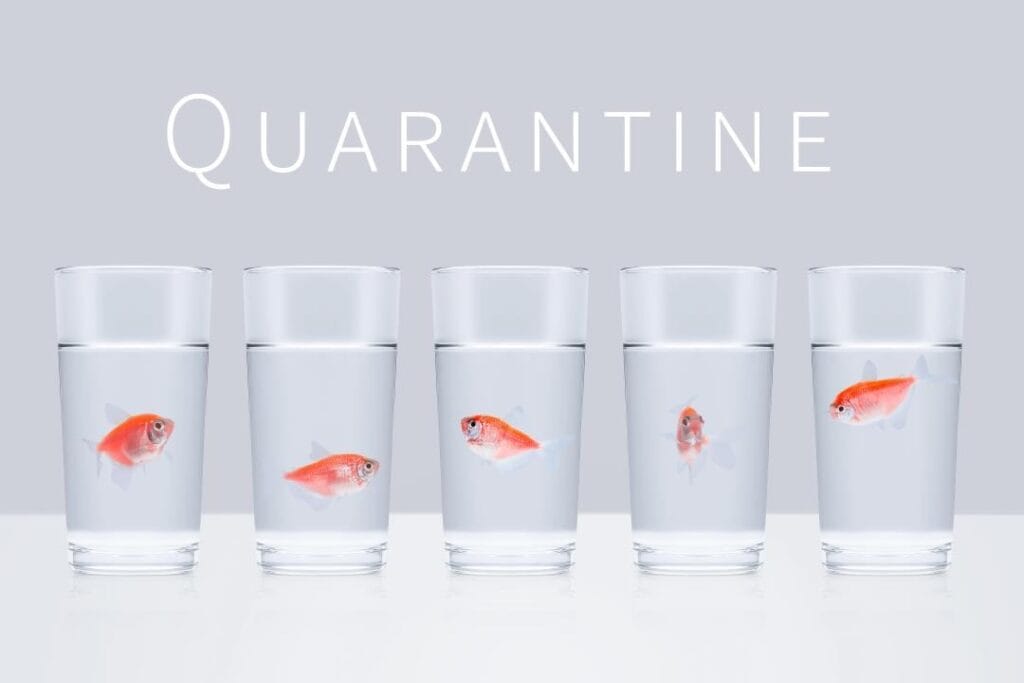 Коллаж: Вадим Квятковский