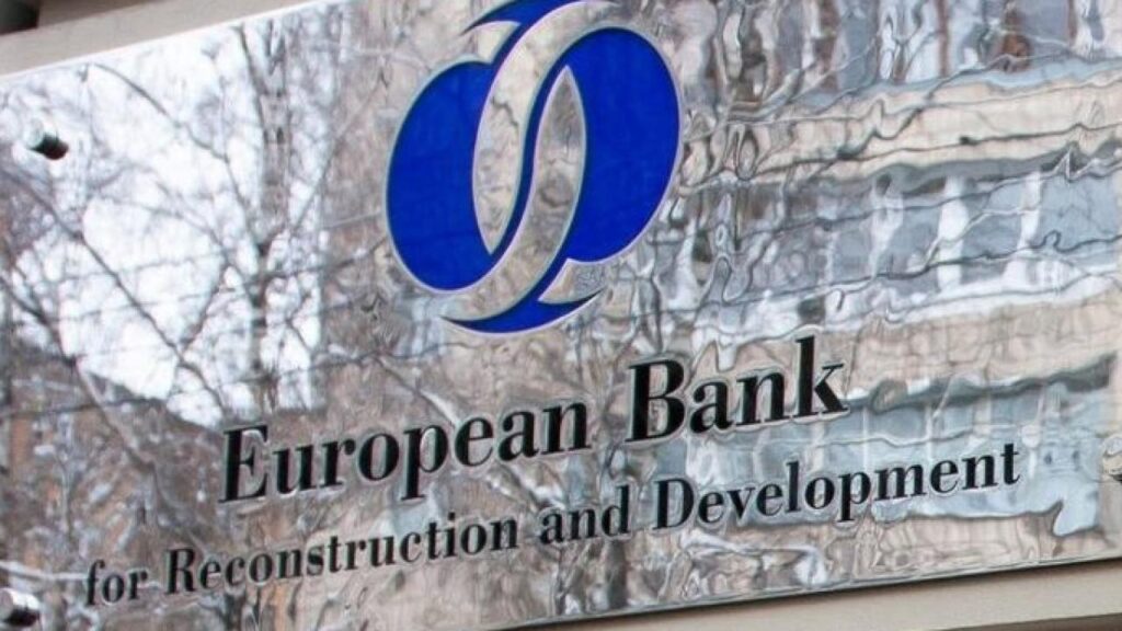 Фото: Из открытых источников