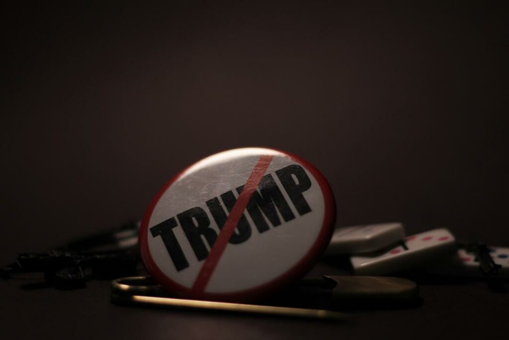 Фото: olograsso248/Pixabay