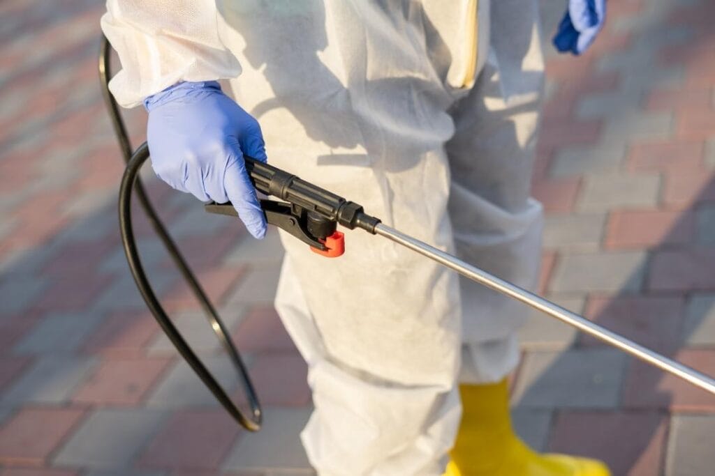 Фото: Офелия Жакаева