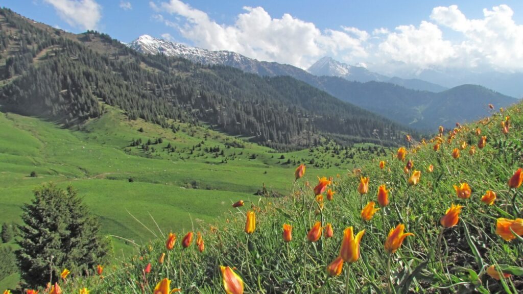 Фото: Наталья Франковская