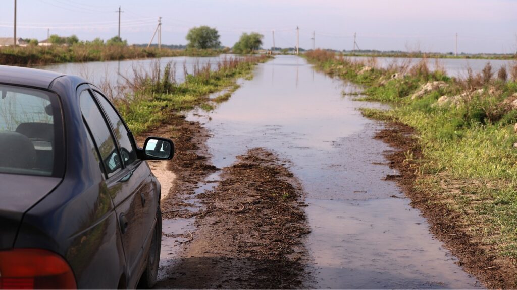 Фото: Сергей Алексеенок