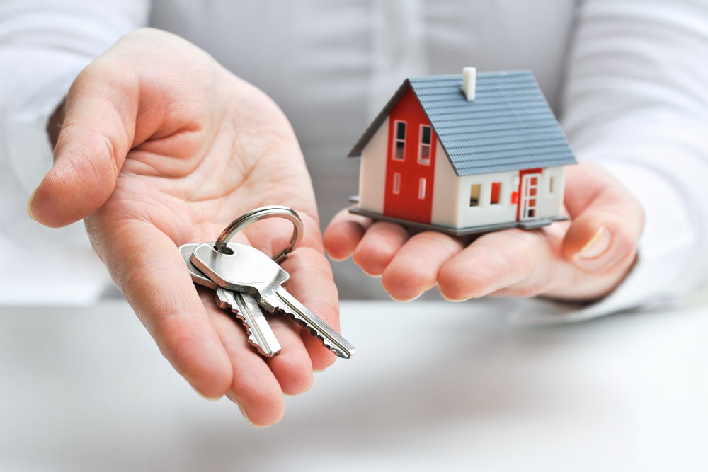 Photo: Shutterstock.com