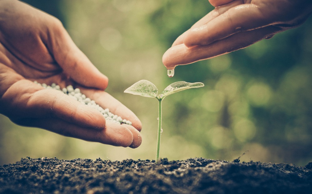 Фото: Shutterstock