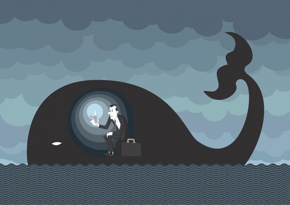 Фото: Depositphotos/miguelhernandez 