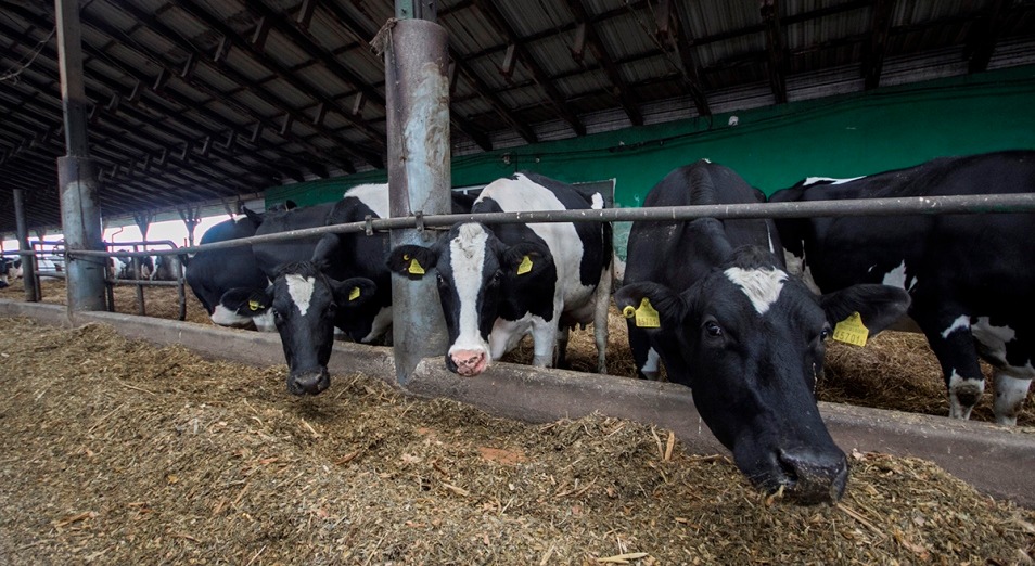 Басқарма бірнеше жыл бұрын берілген субсидияны қайтарып алмақ болған