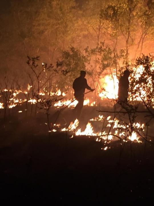 Өткен тәулікте 12 табиғи өрт орын алды
