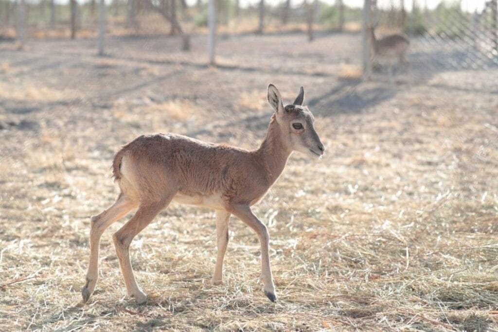 Фото: uzbektourism.uz