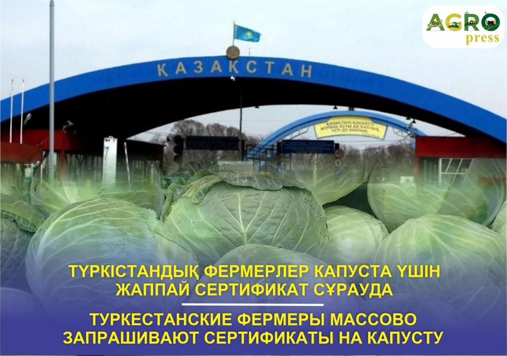 Қырсық шалған қырыққабаттың мәселесі бітпей жатыр