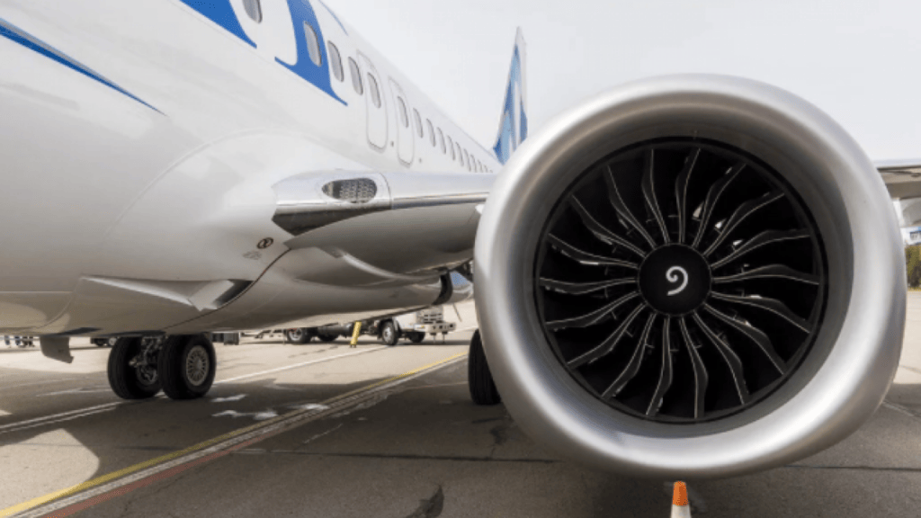 SCAT Airline Flight Encounters Bird Strike