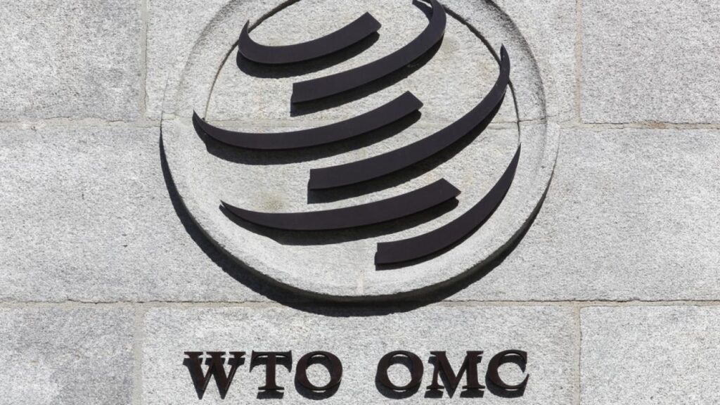 Фото: ricochet64 / Shutterstock.com