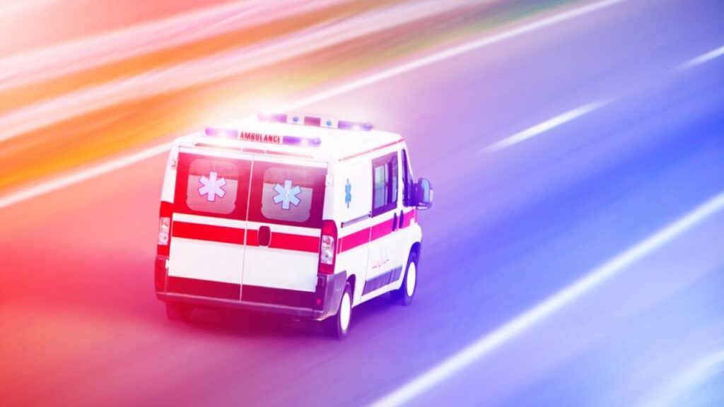 Фото: Shutterstock