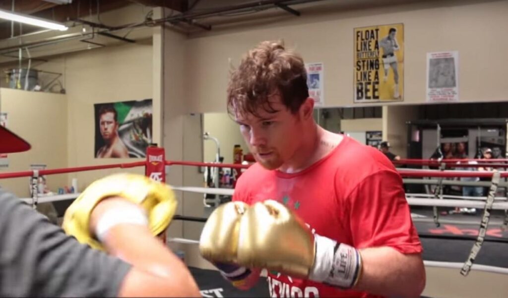 Канело запросил за бой с Головкиным дополнительный гонорар