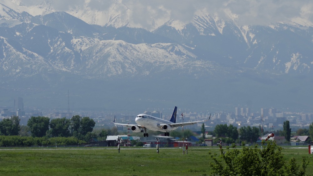 Фото: Shutterstock.com