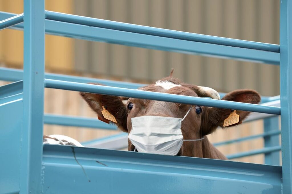 Коллаж: Вадим Квятковский