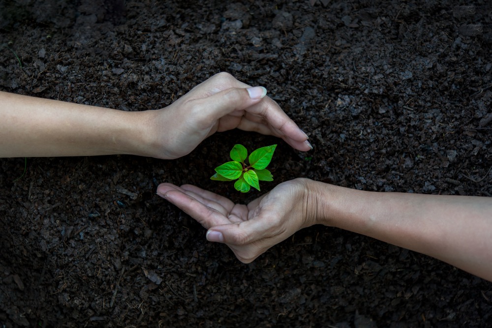 Ужесточение экологических норм может привести к остановке предприятий КМГ