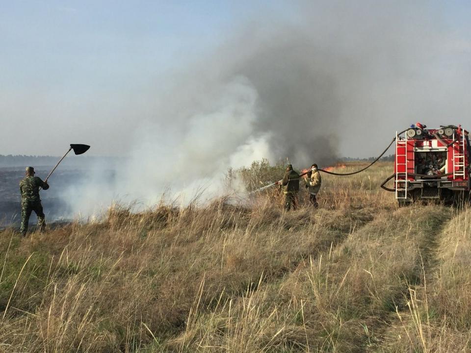 В 30 километрах от Атырау горит 110 гектар камыша