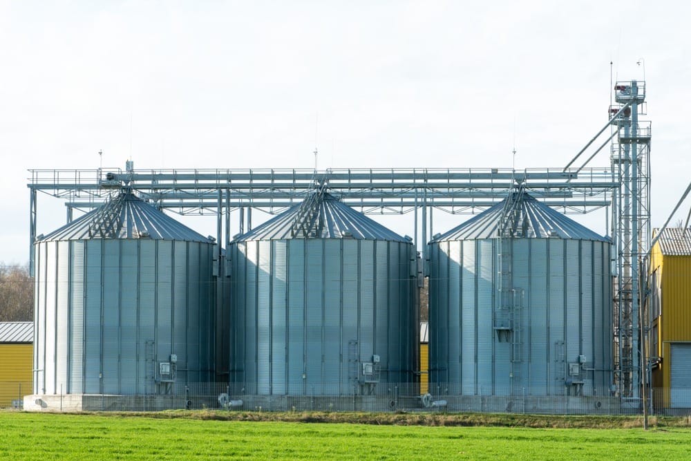 Фото: Shutterstock