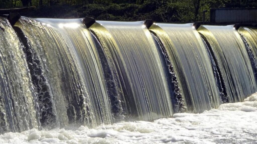 Фото: Shutterstock