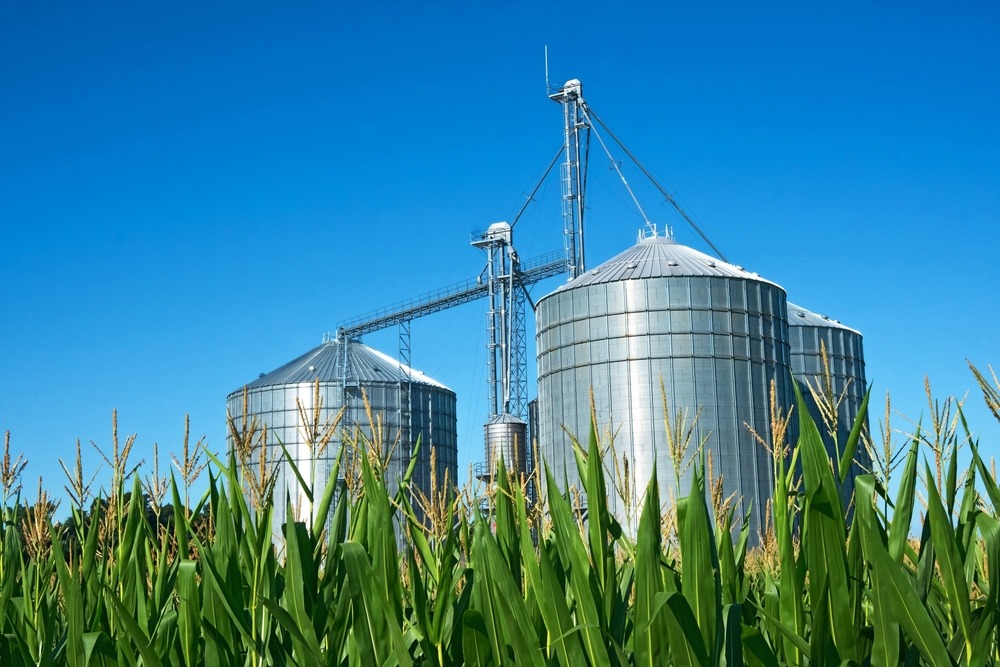 В Узбекистане приватизируют хлопкозаводы и элеваторы