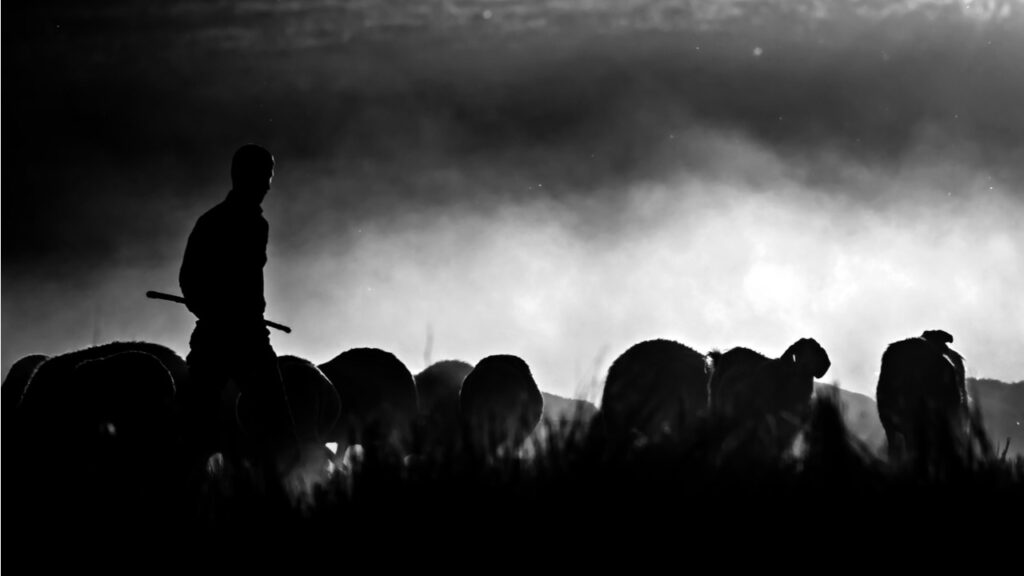 Фото: Shutterstock