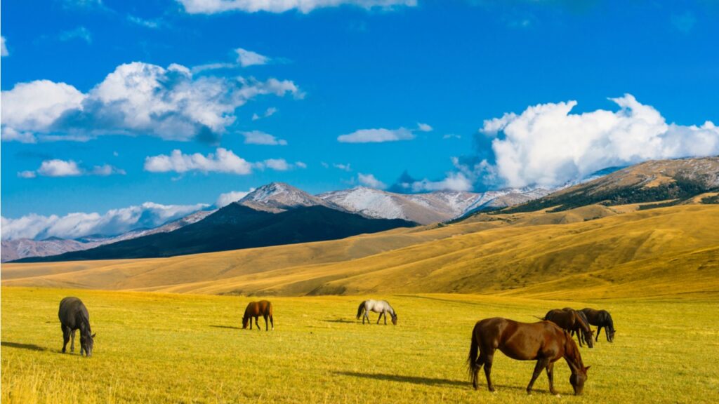 Казахстан вошел в список лучших стран для любящих приключения туристов