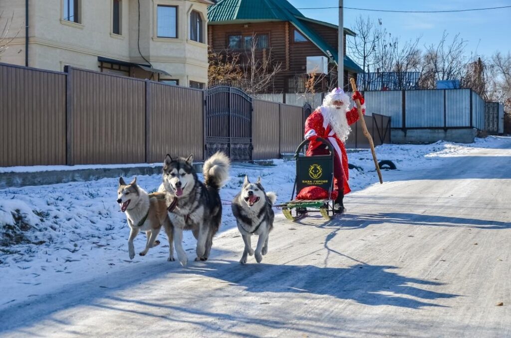 Фото: Офелия Жакаева